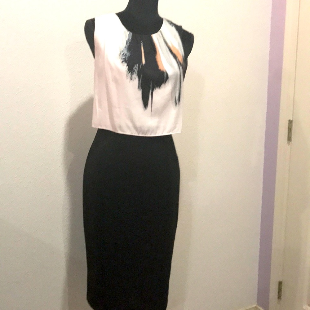 New York and Company Dress